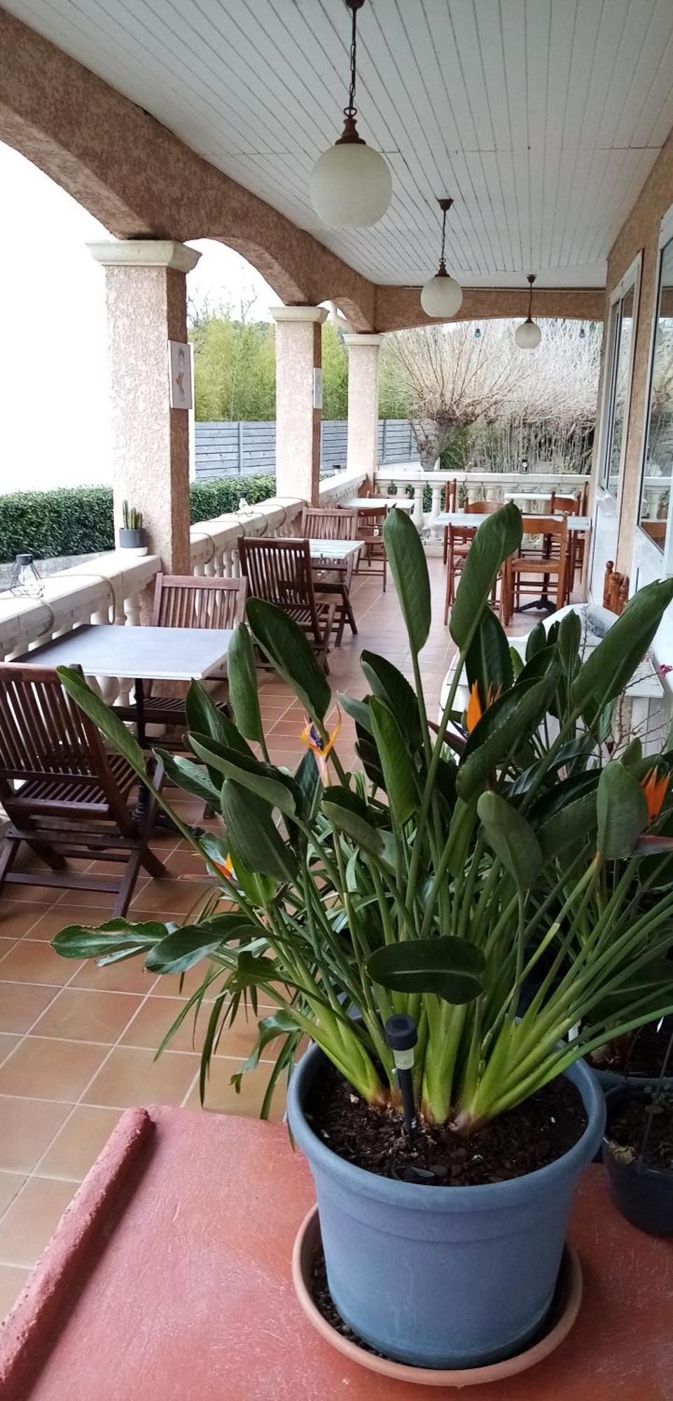 Le Grand Jardin Hotel Aujargues Екстериор снимка